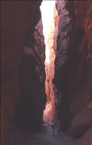 scan509.jpg