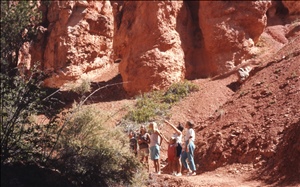 scan511.jpg