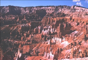 scan514.jpg