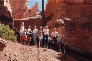 scan515.jpg