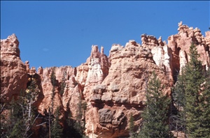 scan516.jpg