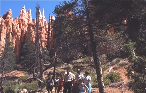 scan517.jpg