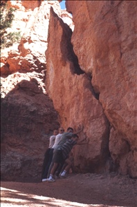 scan519.jpg