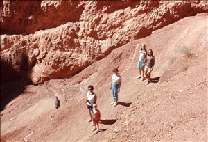 scan521.jpg