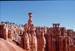 scan523.jpg
