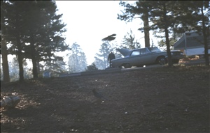 scan524.jpg