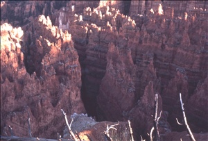 scan526.jpg