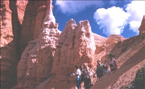 scan537.jpg