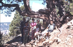 scan540.jpg