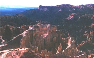 scan541.jpg