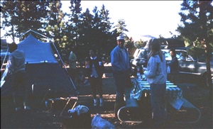 scan544.jpg