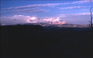scan545.jpg