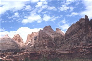 scan549.jpg