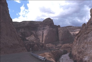 scan552.jpg