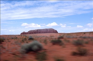 scan554.jpg