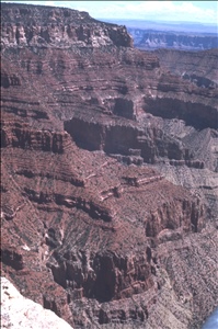 scan560.jpg