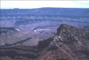 scan561.jpg