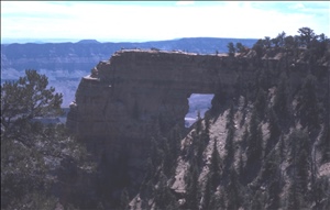 scan563.jpg