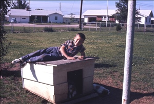 scan244.jpg