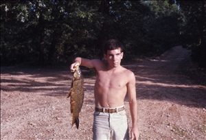 scan264.jpg