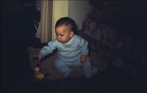 scan378.jpg