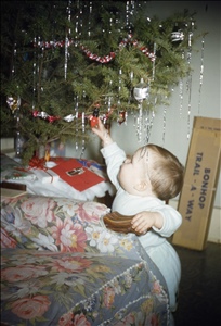 scan424.jpg