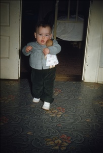 scan426.jpg