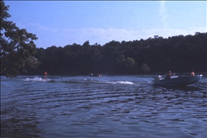 scan567.jpg