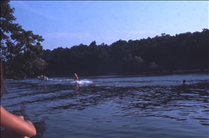 scan568.jpg