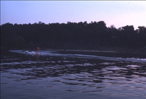 scan570.jpg