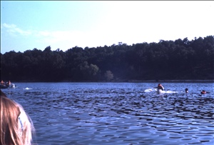 scan582.jpg