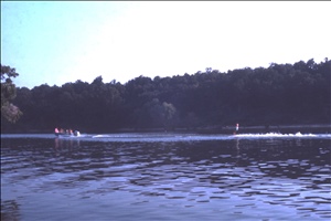 scan584.jpg