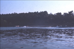 scan585.jpg