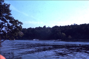 scan586.jpg