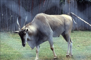 scan682.jpg