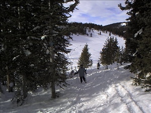 Dsc00009.jpg