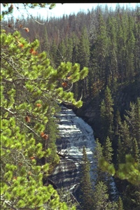 IMG0041.jpg