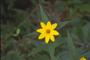 IMG0053.jpg