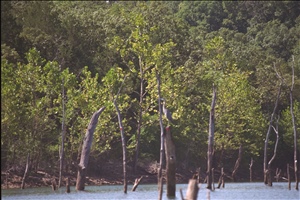 IMG0055.jpg