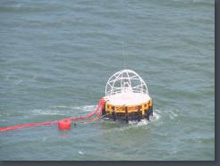 IMG_2687.jpg, 1600x1200, Location: Gulf of Mexico IMG_2687.jpg