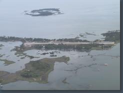 IMG_2770.jpg, 1600x1200, Location: Cedar Key, Florida IMG_2770.jpg