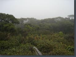 IMG_0051.jpg
