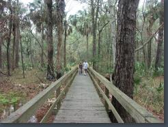 PICT1178.jpg, 1600x1200, Location: Audubon Nature Preserve, Hilton Head, SC PICT1178.jpg