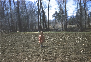 qscan334.jpg