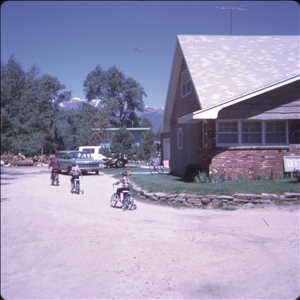 qscan376.jpg