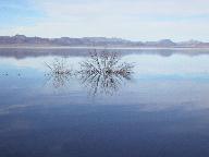Location: Mono Lake, California Aut_0905.jpg