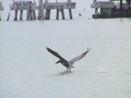 IMG_2791.jpg