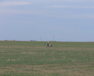 P1120484.jpg