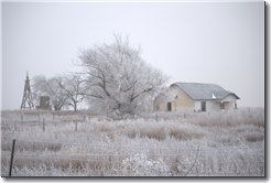 Texas Farm in the Ice, 1600 x 1070 P1000412.jpg