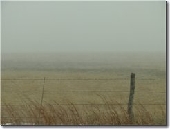 Kansas Barbed Wire, 1567 x 1176 P1180518.jpg